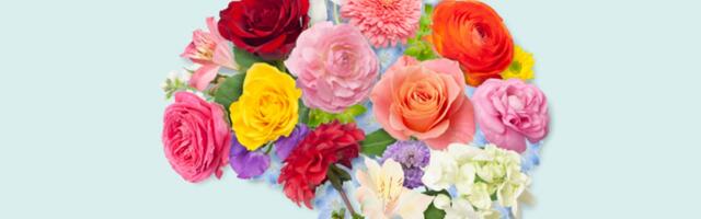 I'm Done Letting Stress Win. These 7 Simple Daily Habits Are My Secret Weapon for Happiness