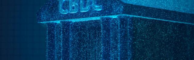 Are CBDCs Doomed to be Put on Ice? Exploring Project Delays, Challenges and Potential