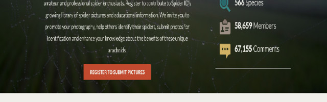 Spider ID – Community driven spider identification