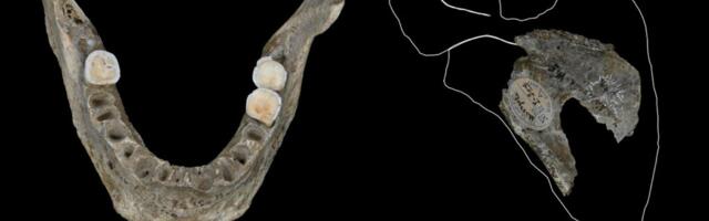 Ice Age Europeans May Have Eaten Their Rivals 18,000 Years Ago