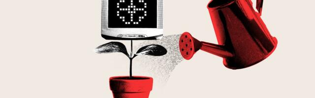 Google who? How a new generation of media startups is thriving without search traffic