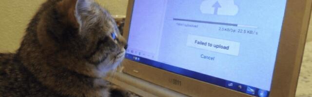 Telegram ограничивают. Куда переходить командам?