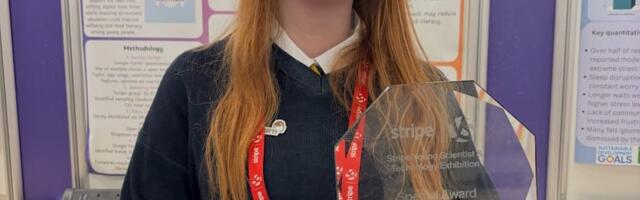 Dublin student wins two major awards at Stripe Young Scientist for healthy eating project