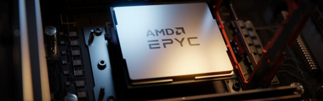 AMD Beats Expectations as Fellow Chipmakers Struggle 