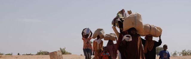 Armed groups are likely committing ethnic cleansings and atrocities in Darfur — again