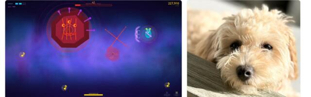 [Перевод] Я научил свою собаку играть в Vibe Code Games