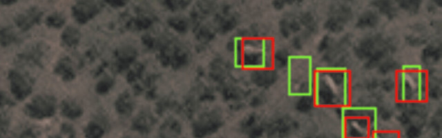 New AI system counts endangered elephants from space