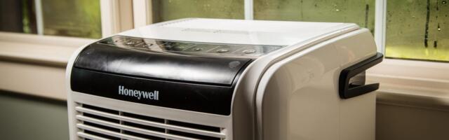 Best Dehumidifier for 2025