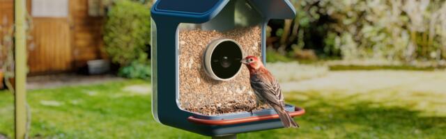 Birdbuddy unveils its most affordable 'mini' bird feeder camera — and it can identify birds by their song