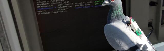 Как устроена электронная почта на VPS: основы SMTP, IMAP и POP3