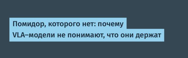 Помидор, которого нет: почему VLA-модели не понимают, что они держат