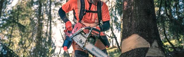 What Is Husqvarna's Most Affordable Chainsaw And Is It Any Good?