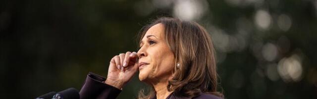 The left’s comforting myth about why Harris lost