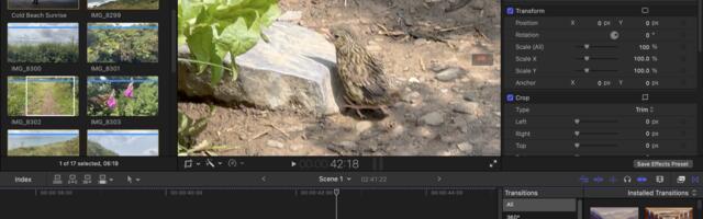 Apple Final Cut Pro (2025) review