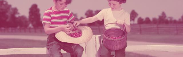 Research says growing up lower-middle class in the 1960s and 70s created some of the most resourceful problem-solvers alive today — people who learned to fix, repurpose, and make do before making do was rebranded as sustainable living and started appearing in lifestyle magazines