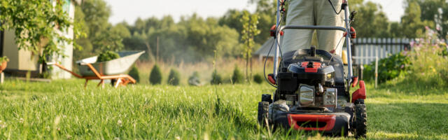 Why Do Some Mower Blades Have Teeth? Here's What They're Used For