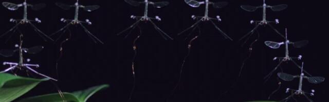 RoboBee sticks the landing