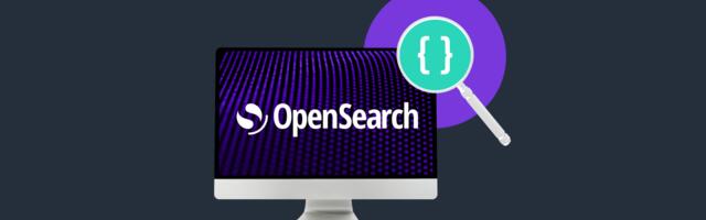 Интеграция OpenSearch: от функционального тестирования до проверки интеллекта поиска