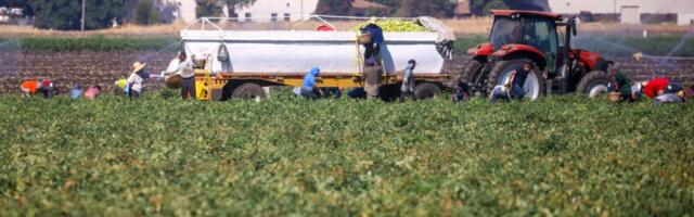 ‘Brutal’ trade offs keep some South Bay farmworkers laboring in dangerous heat