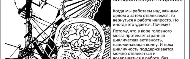[Перевод] Механизм восстановления фокуса внимания. Аналоговая вычислительная система наших нейронов