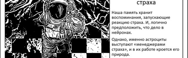 Как устроена архитектура страха, и можно ли её разрушить