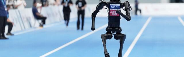 I've watched this bizarre video of a robot chasing wild boars a dozen times — I still don't know what it means