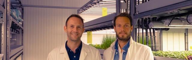 Vertical farming wants to save perfume from climate change