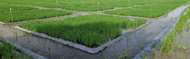 Nottingham’s NZN secures £5m to tackle harmful fertilisers
