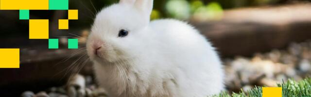 Bunni DEX Shuts Down, Cites Recovery Costs After $8.4M Exploit