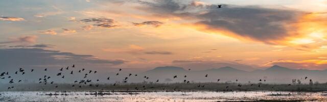 Rainfall Buries a Mega-Airport in Mexico