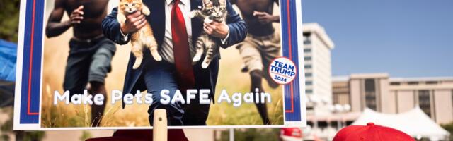 Haitians in America worry they’re Trump’s next target