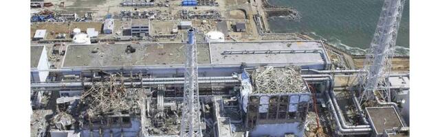 [Перевод] Фукусима, любовь моя: 15 лет непрекращающейся катастрофы