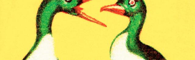 What to say to relatives who love to needle you about politics