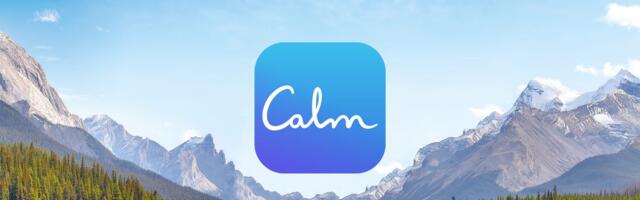 The Calm app bought ad blocks on CNN and ABC on election night to give viewers '30 seconds of silence'