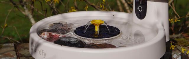 I’ve been using bird feeder cameras for years, and new avian health warnings had me worried for the summer months — but this smart bird bath alternative, along with expert advice, will let me get my garden bird-watching fix responsibly