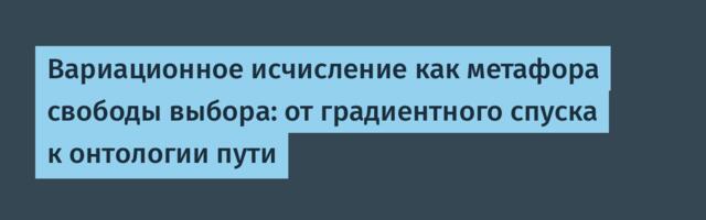 Вариационное исчисление как метафора свободы выбора: от градиентного спуска к онтологии пути