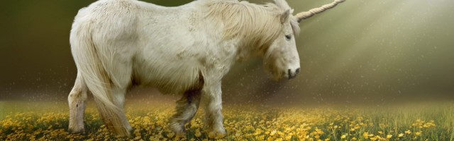 Unicorn VC launches new fund