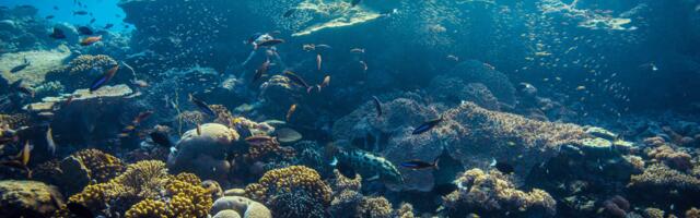 Monaco backs London-based Ocean 14 Capital with €10 million to supercharge the blue economy