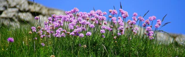 Winners of first national HIHI GreenTech in Healthcare announced