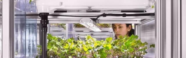 Green Glossary: Farm to fork