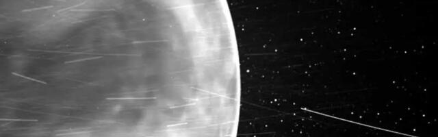 Venus Harbors Secret Asteroids That Could Threaten Earth, Study Warns