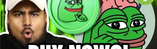 Best Altcoin to Buy During a Bear Market – Next 100X Meme Coin Gem?