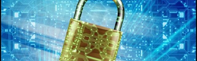 Is your company firewall up to scratch? Study reveals a shocking number of firms might be at risk