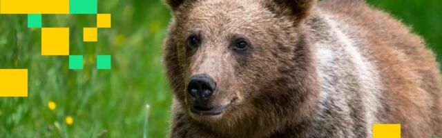 Crypto Markets Today: Bitcoin, Ether Drop as Selling Pressure Returns