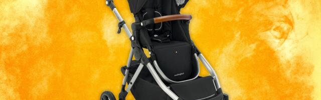 10 Best Strollers for Almost Every Budget and Need (2024): New Top Picks!