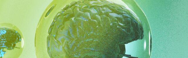 The 4 Things You Need for a Tech Bubble