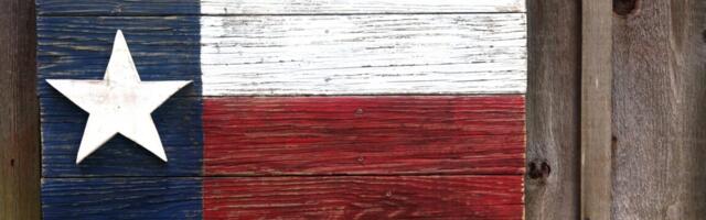 5th Circuit blocks Texas law requiring websites to filter "harmful" speech