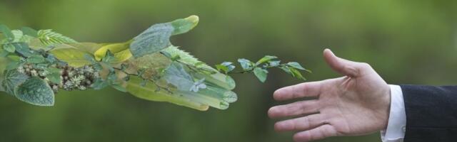 How can tech startups focus on sustainability as well as growth?