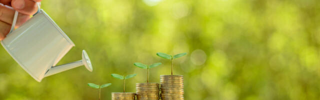 NTT DATA Finds Half of Corporates Want More Investment in Sustainable Banking