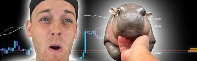 Top Gainer Solana Meme Coin Moo Deng Poised for 5x October Rally